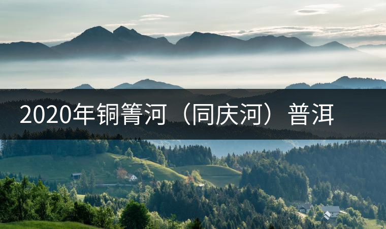 2020年銅箐河（同慶河）普洱茶，野味真難尋！-易武中聘號(hào)