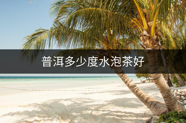 普洱多少度水泡茶好 普洱多少度水泡茶好