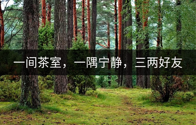 一間茶室，一隅寧靜，三兩好友