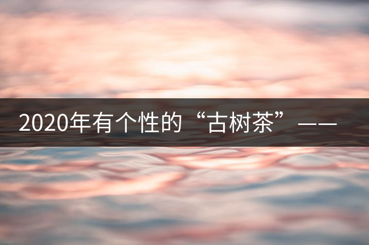 2020年有個(gè)性的“古樹茶”——一扇磨-易武中聘號