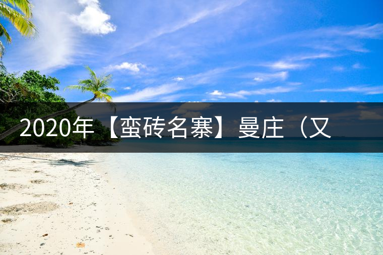 2020年【蠻磚名寨】曼莊（又作：蠻磚、曼磚）-易武中聘號