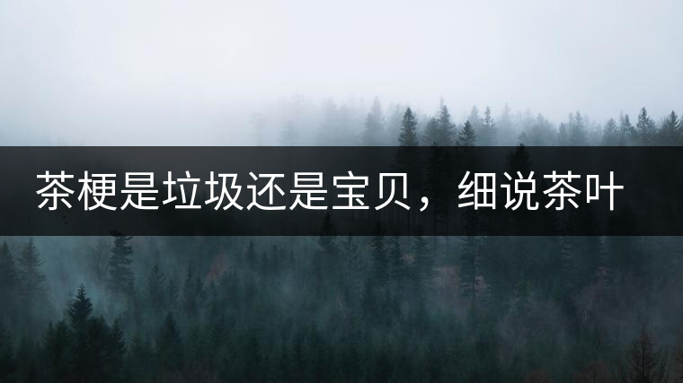 茶梗是垃圾還是寶貝，細說茶葉的那些梗