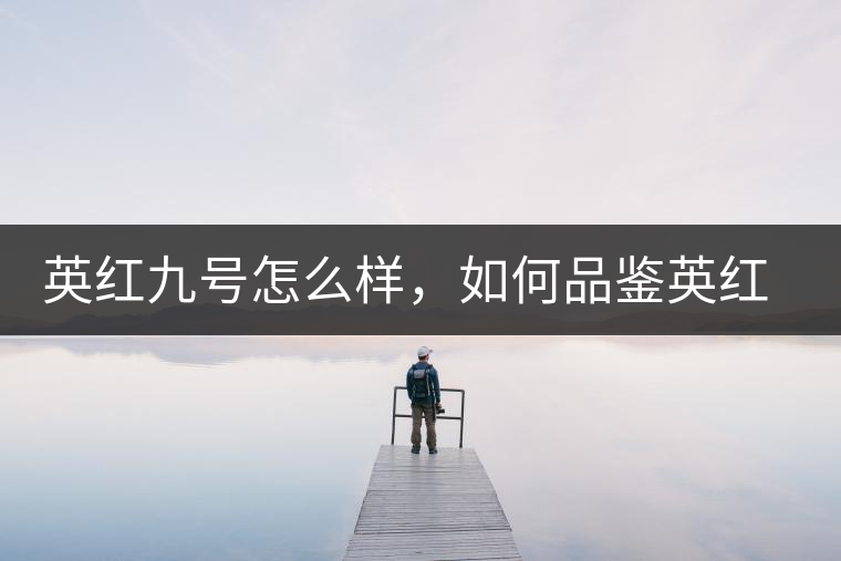 英紅九號(hào)怎么樣，如何品鑒英紅九號(hào)紅茶