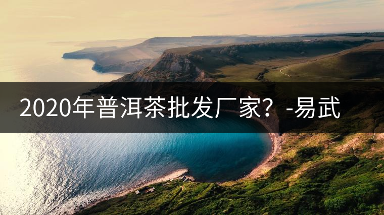 2020年普洱茶批發(fā)廠家？-易武中聘號