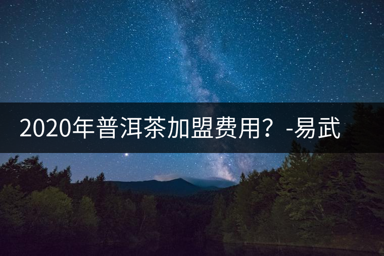 2020年普洱茶加盟費(fèi)用？-易武中聘號