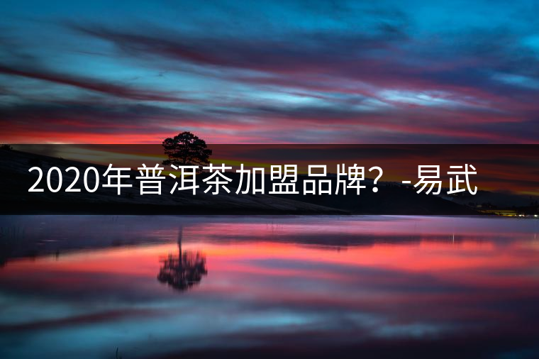 2020年普洱茶加盟品牌？-易武中聘號(hào)