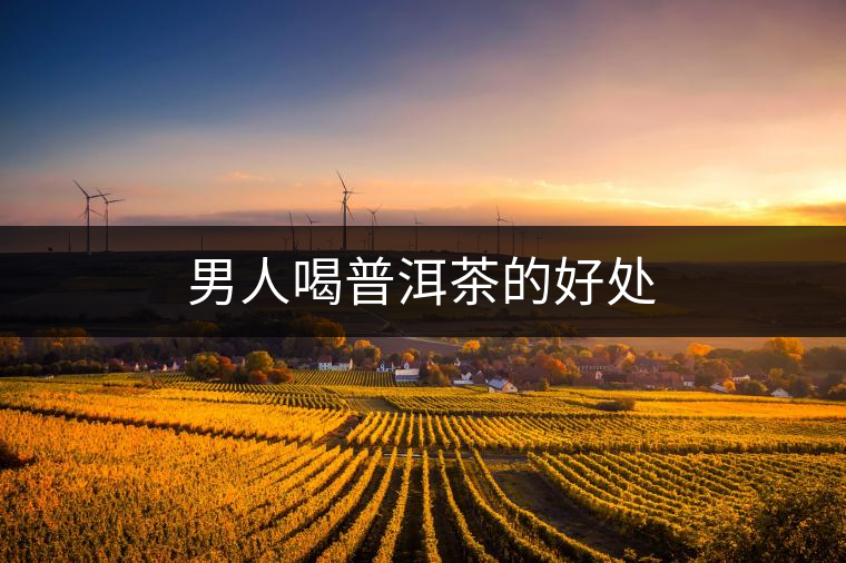男人喝普洱茶的好處 男人喝普洱茶的好處