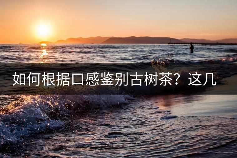 如何根據(jù)口感鑒別古樹茶？這幾個(gè)技巧值得收藏