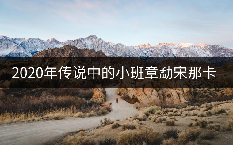 2020年傳說(shuō)中的小班章勐宋那卡古樹(shù)茶-易武中聘號(hào)