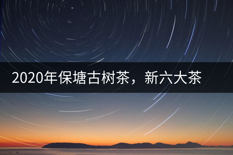 2020年保塘古樹(shù)茶，新六大茶山之勐宋茶佼佼者-易武中聘號(hào)
