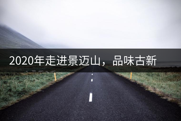 2020年走進景邁山，品味古新六大茶山古樹茶之韻-易武中聘號