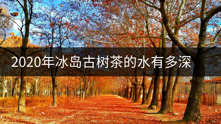 2020年冰島古樹茶的水有多深？別被蒙在鼓里啦-易武中聘號(hào)