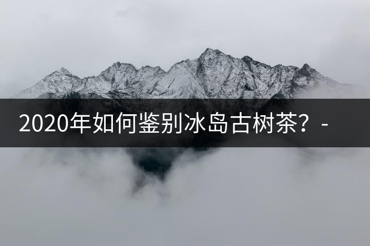2020年如何鑒別冰島古樹茶？-易武中聘號(hào)
