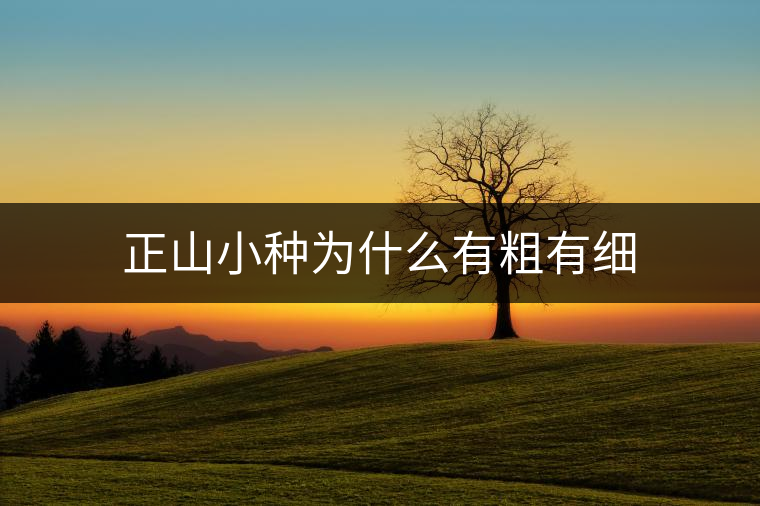 正山小種為什么有粗有細(xì) 正山小種為什么有粗有細(xì)