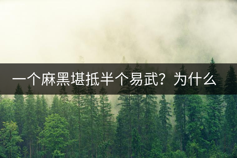 一個麻黑堪抵半個易武？為什么這么好喝？