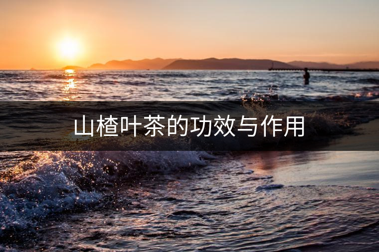 山楂葉茶的功效與作用