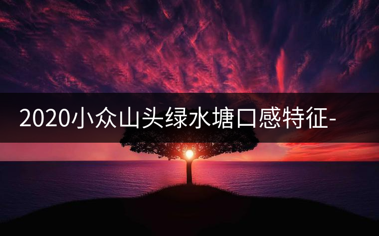 2020小眾山頭綠水塘口感特征-易武中聘號(hào)