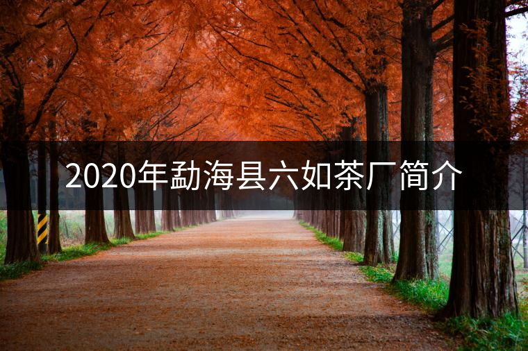 2020年勐?？h六如茶廠簡介