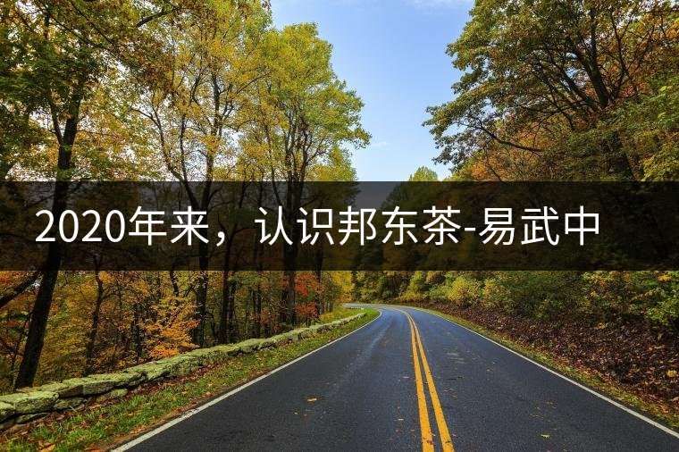 2020年來(lái)，認(rèn)識(shí)邦東茶-易武中聘號(hào)