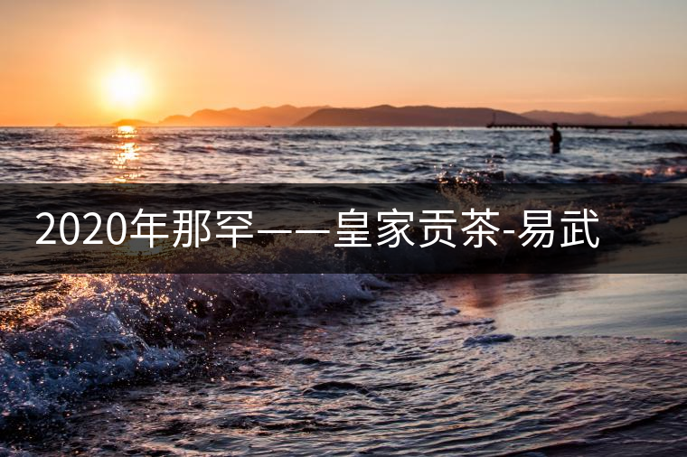 2020年那罕——皇家貢茶-易武中聘號(hào) 2020年那罕——皇家貢茶-易武中聘號(hào)