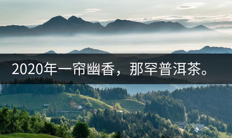 2020年一簾幽香，那罕普洱茶。-易武中聘號