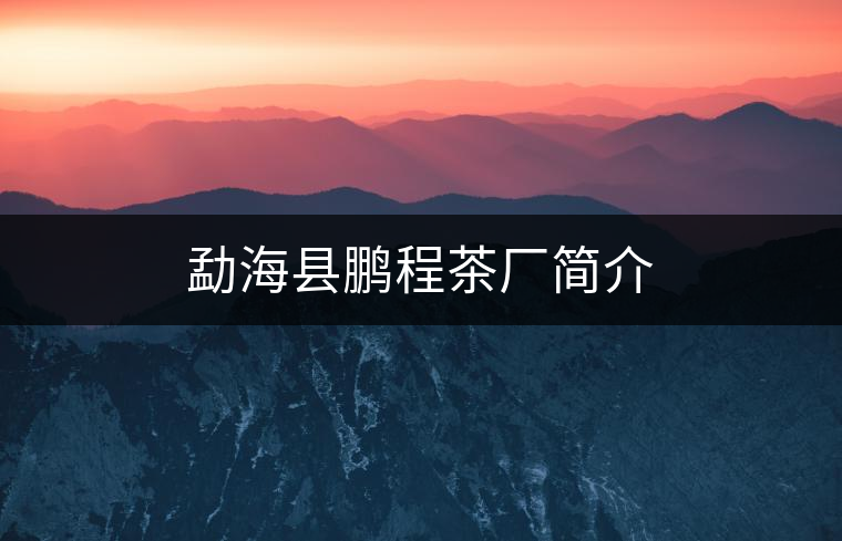 勐?？h鵬程茶廠簡介