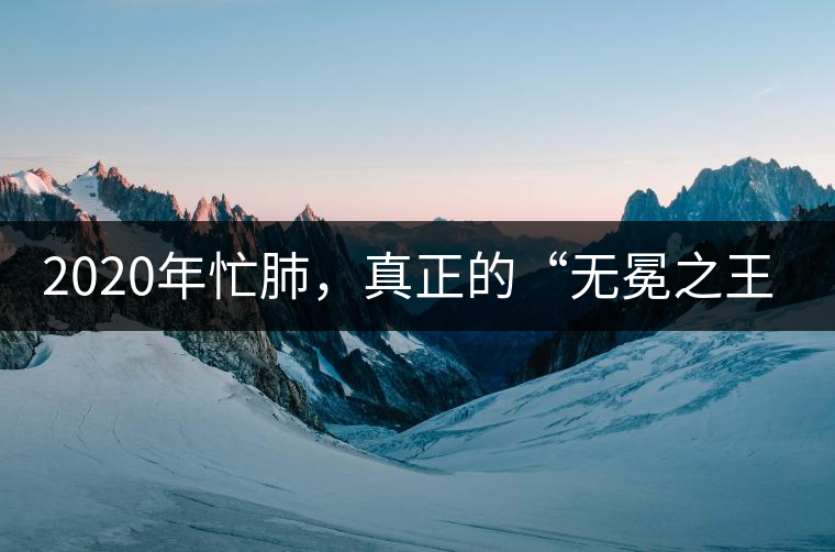 2020年忙肺，真正的“無冕之王”！-易武中聘號(hào)