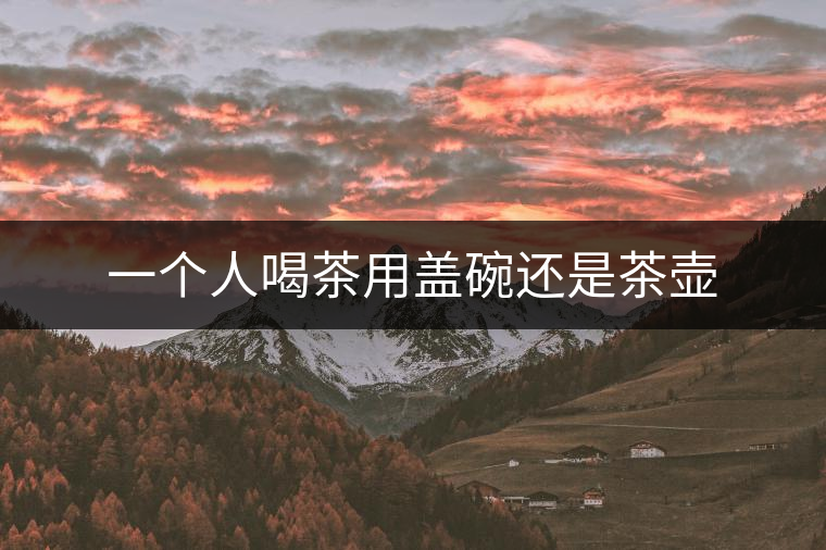 一個(gè)人喝茶用蓋碗還是茶壺 一個(gè)人喝茶用蓋碗還是茶壺