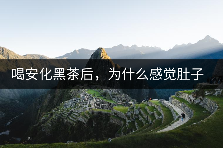喝安化黑茶后，為什么感覺肚子餓的快？