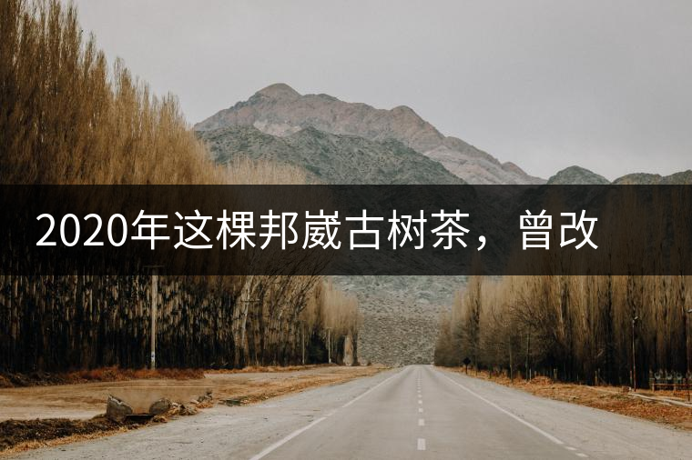 2020年這棵邦崴古樹茶，曾改寫普洱茶歷史！-易武中聘號