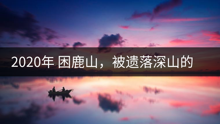 2020年 困鹿山，被遺落深山的皇家古茶園-易武中聘號(hào)