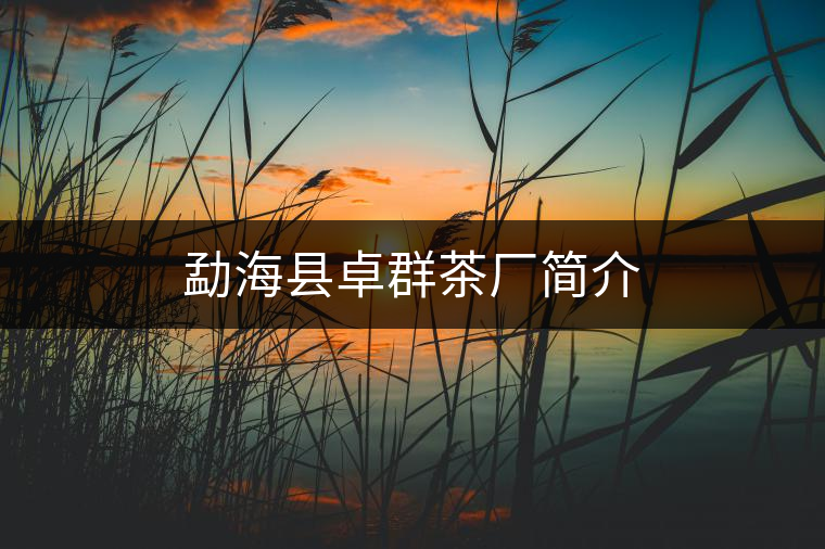 勐?？h卓群茶廠簡(jiǎn)介