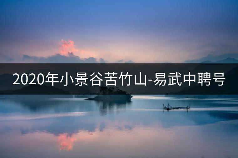 2020年小景谷苦竹山-易武中聘號