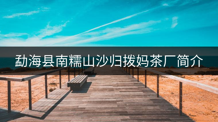 勐?？h南糯山沙歸撥媽茶廠簡介