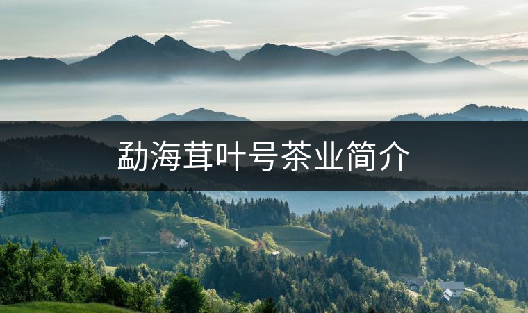 勐海茸葉號(hào)茶業(yè)簡(jiǎn)介