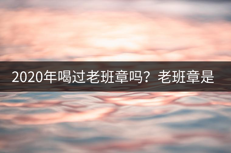 2020年喝過老班章嗎？老班章是什么味道？-易武中聘號