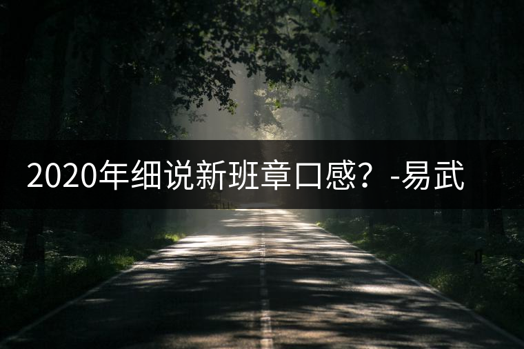 2020年細(xì)說新班章口感？-易武中聘號(hào)