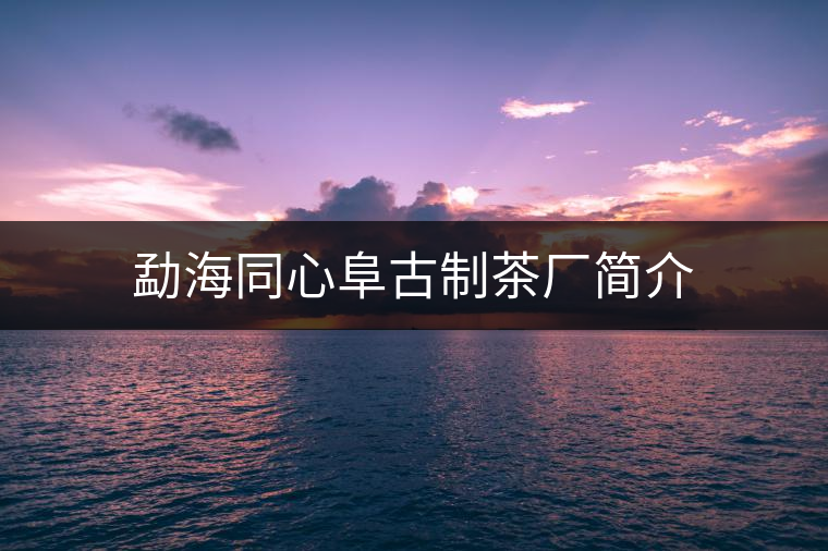 勐海同心阜古制茶廠簡(jiǎn)介 勐海同心阜古制茶廠簡(jiǎn)介