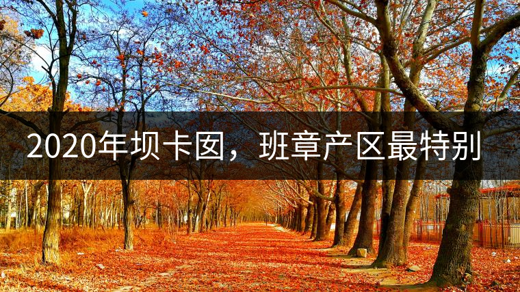 2020年壩卡囡，班章產(chǎn)區(qū)最特別的茶 -易武中聘號