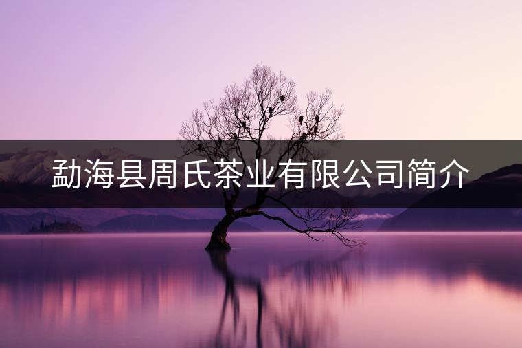 勐海縣周氏茶業(yè)有限公司簡(jiǎn)介
