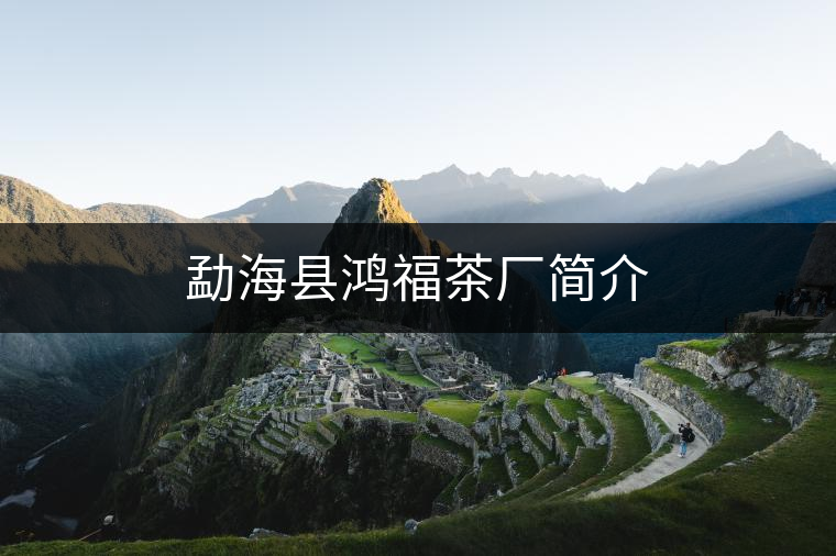 勐??h鴻福茶廠簡介 勐海縣鴻福茶廠簡介