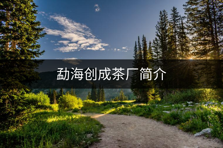 勐海創(chuàng)成茶廠(chǎng)簡(jiǎn)介 勐海創(chuàng)成茶廠(chǎng)簡(jiǎn)介
