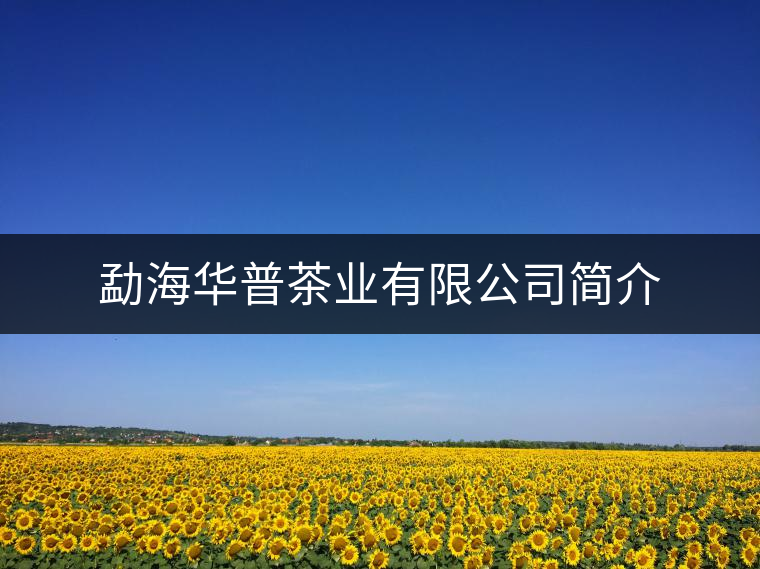 勐海華普茶業(yè)有限公司簡介