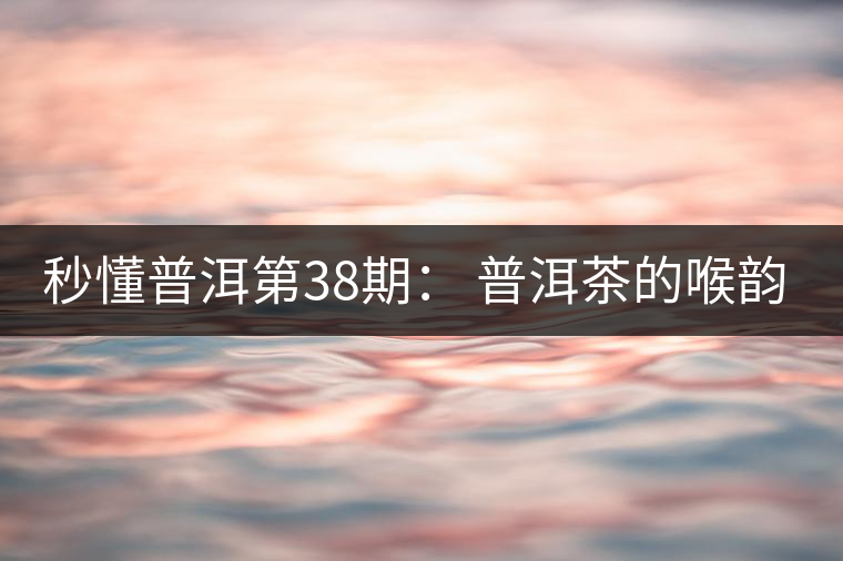 秒懂普洱第38期： 普洱茶的喉韻是什么？