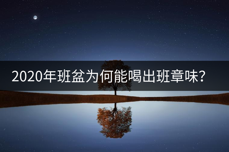 2020年班盆為何能喝出班章味？-易武中聘號(hào)