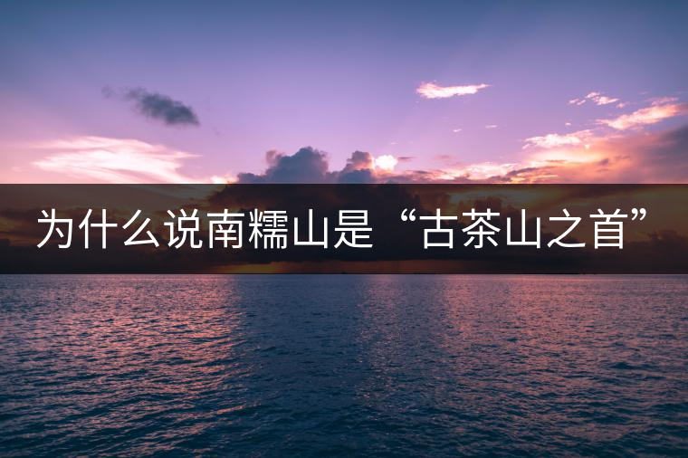 為什么說南糯山是“古茶山之首”？