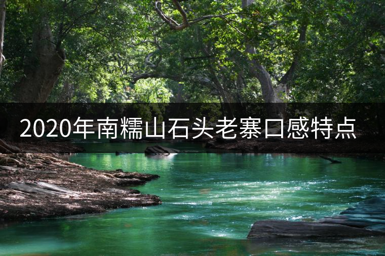 2020年南糯山石頭老寨口感特點(diǎn)-易武中聘號(hào)