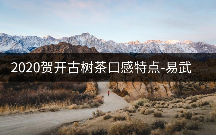 2020賀開(kāi)古樹(shù)茶口感特點(diǎn)-易武中聘號(hào)