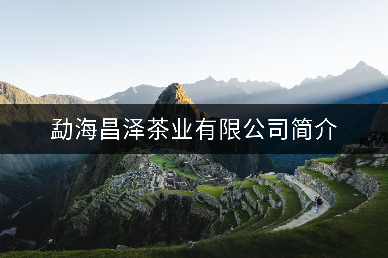 勐海昌澤茶業(yè)有限公司簡介 勐海昌澤茶業(yè)有限公司簡介