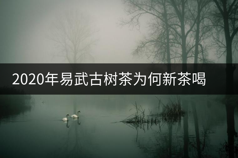 2020年易武古樹茶為何新茶喝時淡卻越放越濃？-易武中聘號